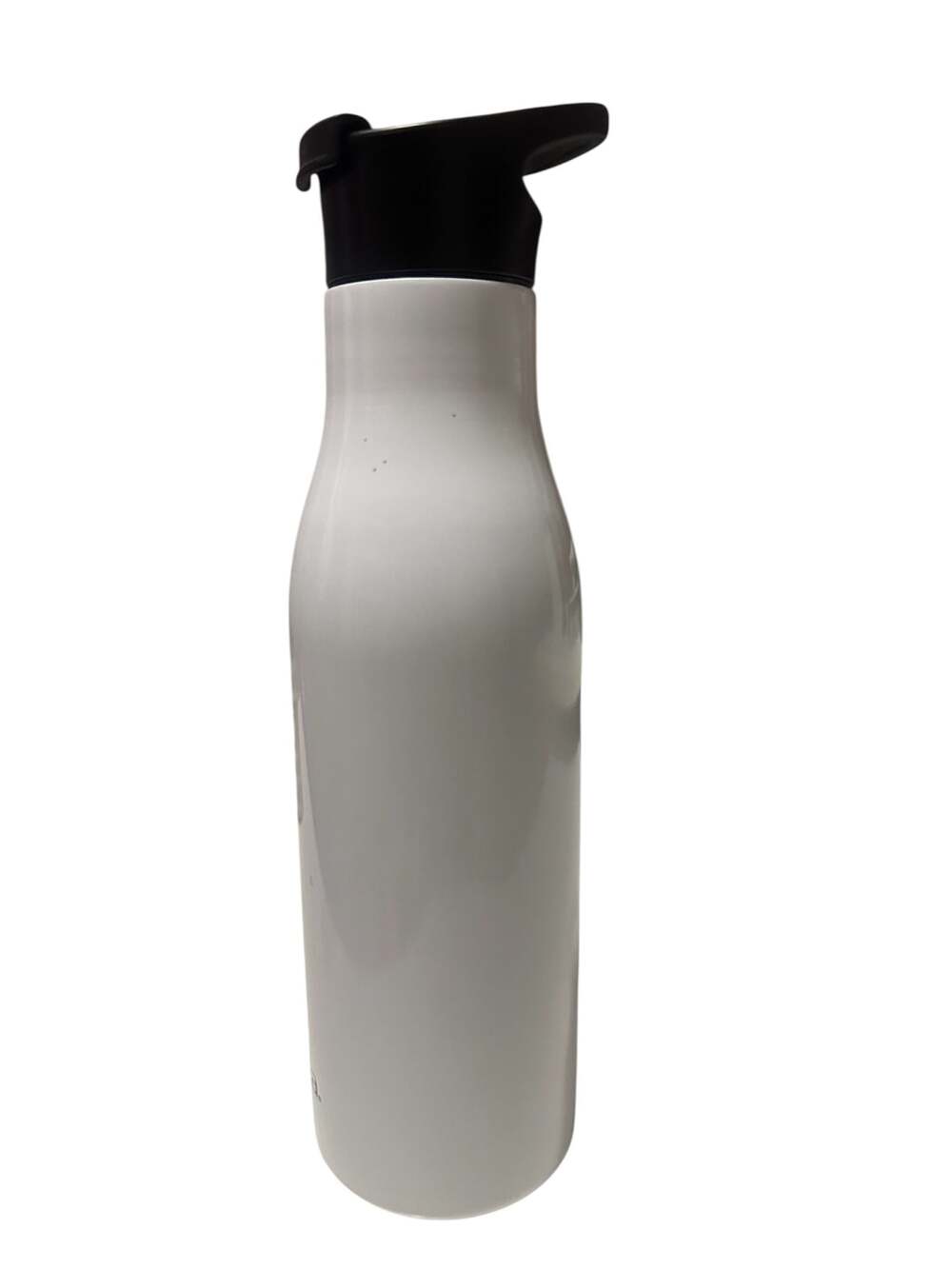 Primula Stainless Steel Vacuum Insulated Water Bottle